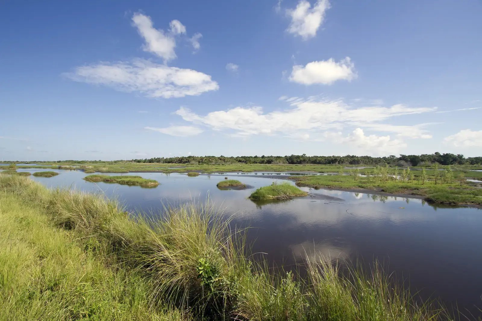 Aerial of Merritt Island, Florida: the Indian River and Banana River lagoons flanking the island's residential shoreline